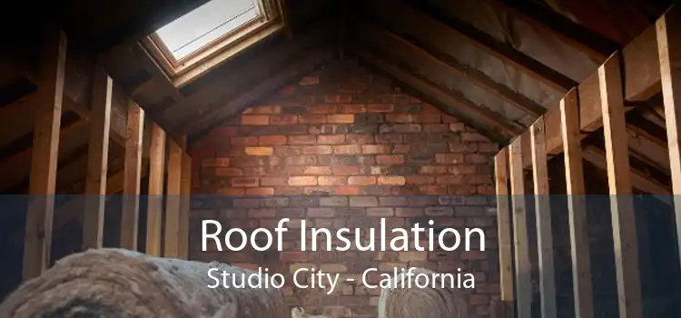 Roof Insulation Studio City - California