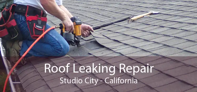 Roof Leaking Repair Studio City - California