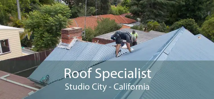 Roof Specialist Studio City - California