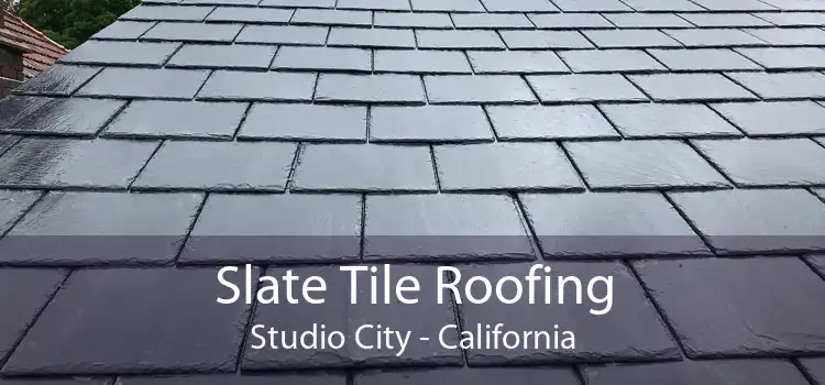 Slate Tile Roofing Studio City - California