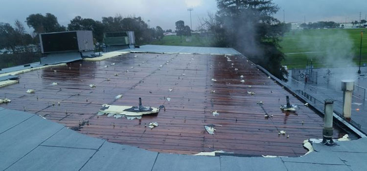 Commercial Flat Roofing